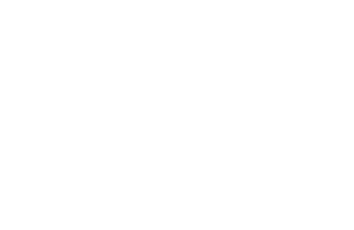 Rakevich - Proyecto 1